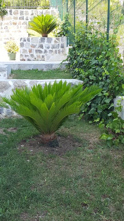 Villa Soleada Herceg Novi Eksteriør billede
